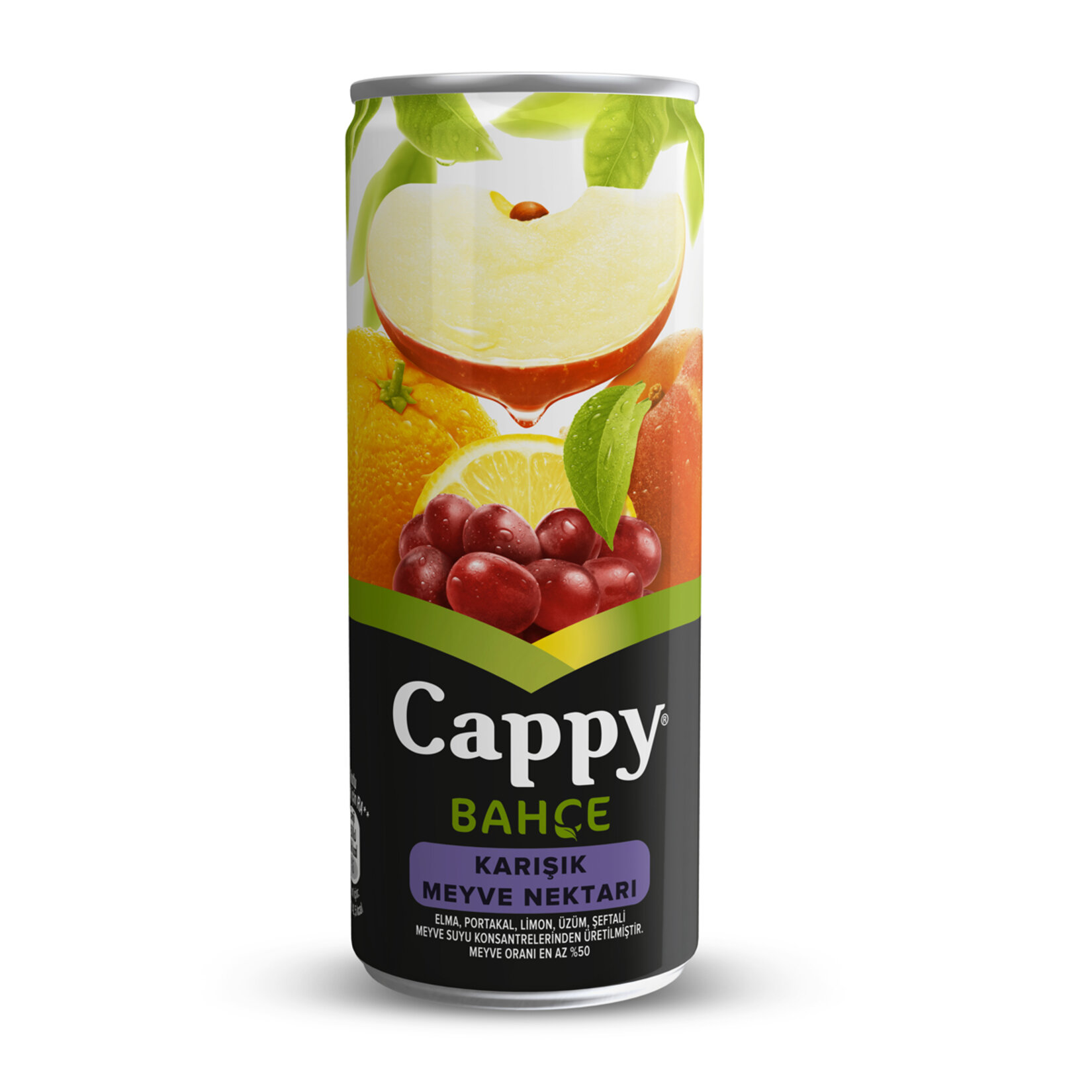 Cappy Karışık Meyve Nektari 250 Ml Kutu