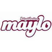 Maylo Cep Mendili 240 Adet (24-10) 500175